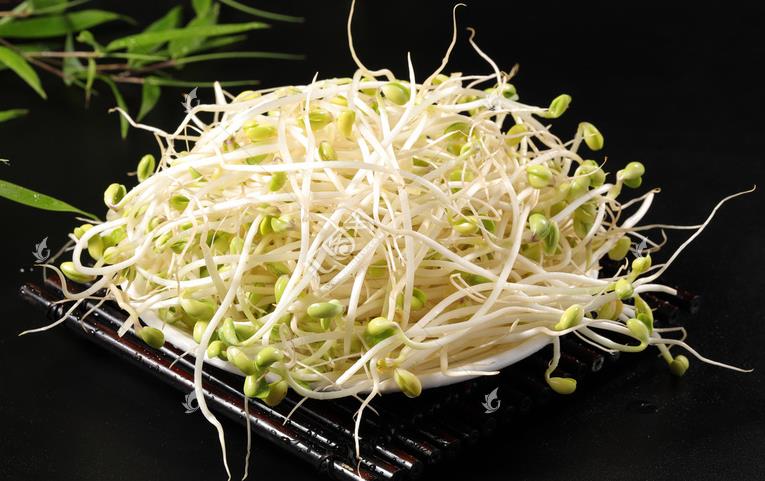 無公害綠色豆芽，怎么生產(chǎn)出來的？全套生產(chǎn)過程如此方便智能